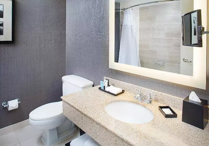 キングサイズベッドのエクゼクティブルーム, Crowne Plaza Annapolis, An Ihg