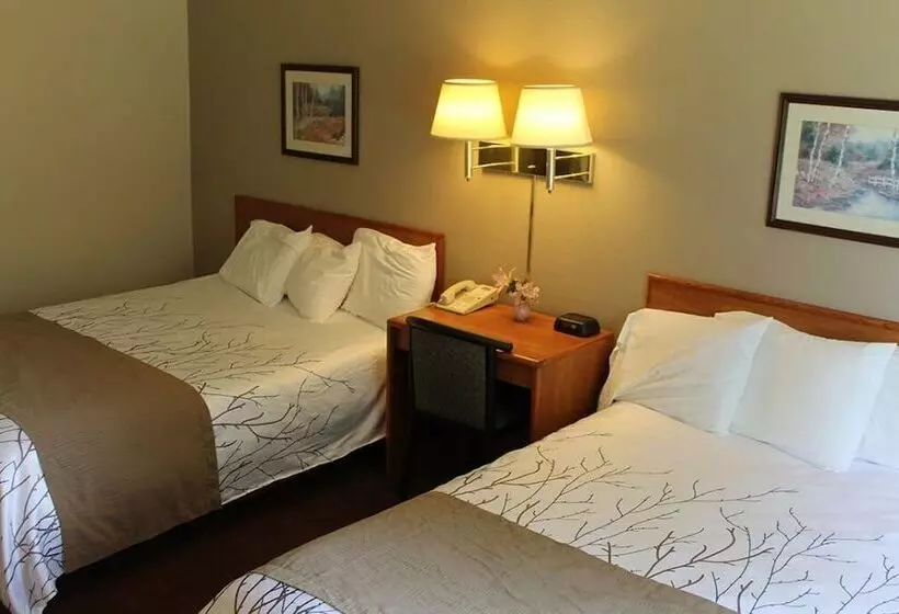 ２ダブルベッドのスタンダードルーム, Edmore Inn