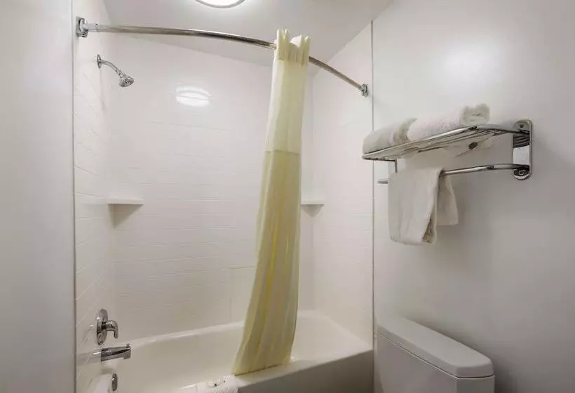 スイート, Quality Inn & Suites Near Lake Oconee