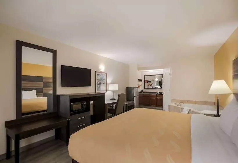スイート, Quality Inn & Suites Near Lake Oconee