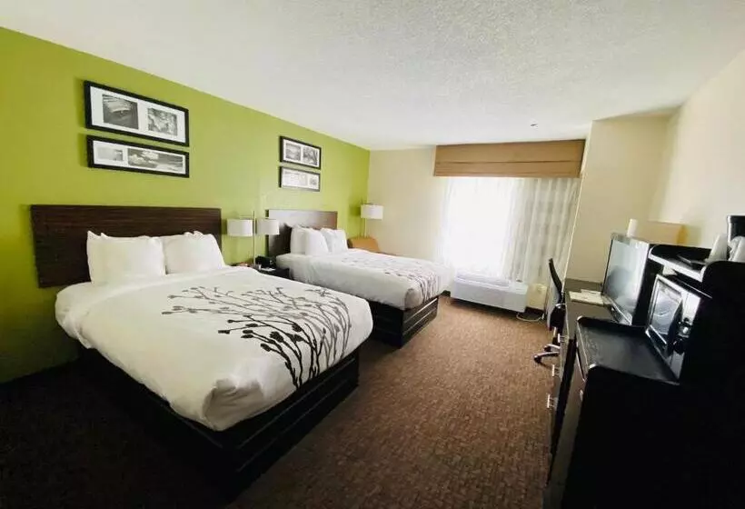 اتاق استاندارد با 2 تخت دوبل, Sleep Inn & Suites Jacksonville Near Camp Lejeune