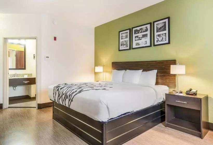 اتاق استاندارد با تخت بزرگ, Sleep Inn & Suites Jacksonville Near Camp Lejeune