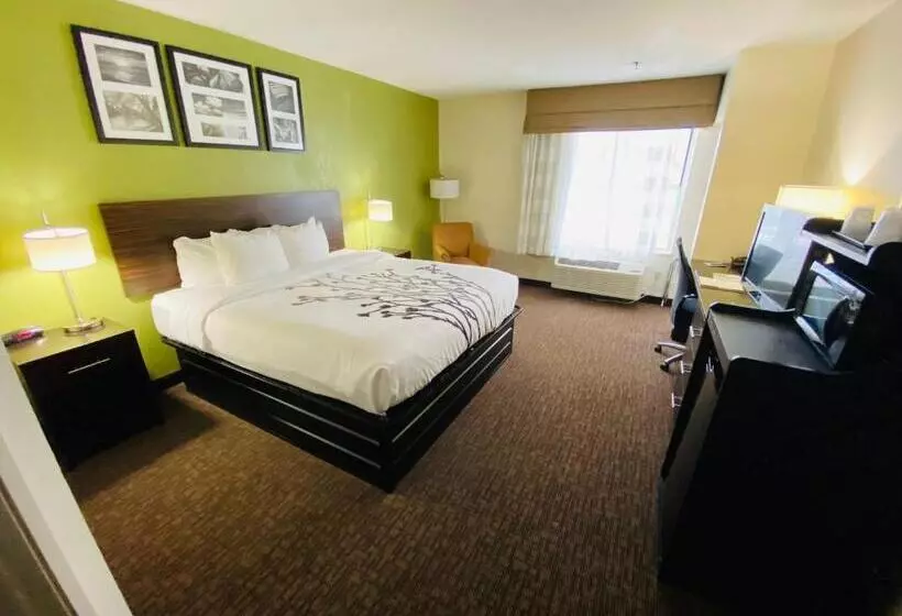 اتاق استاندارد با تخت بزرگ, Sleep Inn & Suites Jacksonville Near Camp Lejeune