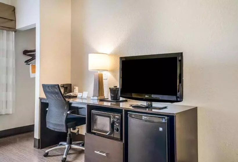 اتاق استاندارد با تخت بزرگ, Sleep Inn & Suites Jacksonville Near Camp Lejeune