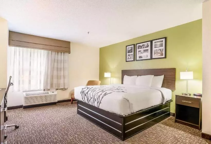 اتاق استاندارد با تخت بزرگ, Sleep Inn & Suites Jacksonville Near Camp Lejeune