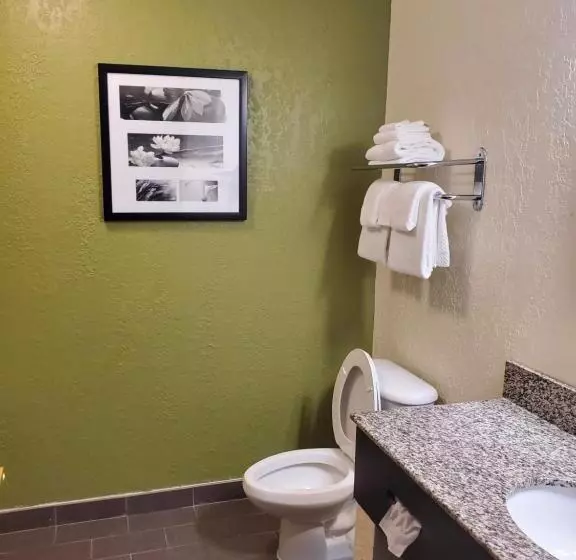 سوئیت با وان آب گرم, Sleep Inn & Suites Jacksonville Near Camp Lejeune