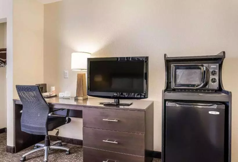 اتاق استاندارد با تخت بزرگ برای معلولان, Sleep Inn & Suites Jacksonville Near Camp Lejeune
