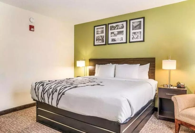اتاق استاندارد با تخت بزرگ برای معلولان, Sleep Inn & Suites Jacksonville Near Camp Lejeune