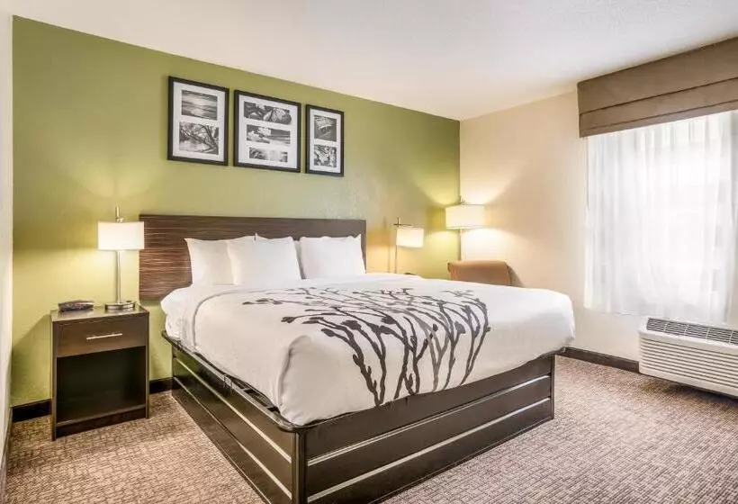 اتاق استاندارد با تخت بزرگ برای معلولان, Sleep Inn & Suites Jacksonville Near Camp Lejeune