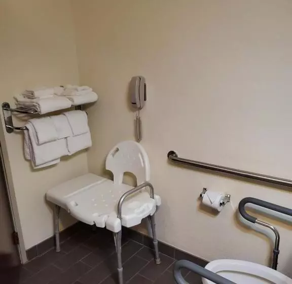 اتاق استاندارد با تخت بزرگ برای معلولان, Sleep Inn & Suites Jacksonville Near Camp Lejeune