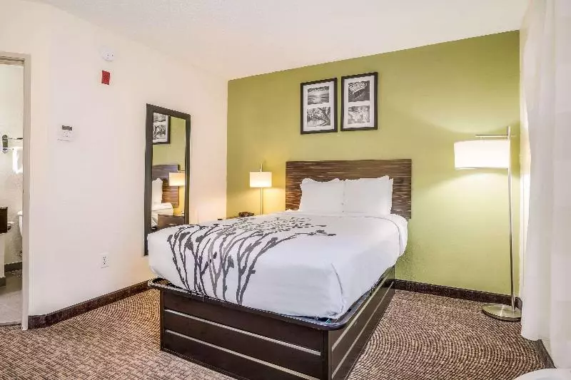 اتاق استاندارد, Sleep Inn & Suites Jacksonville Near Camp Lejeune