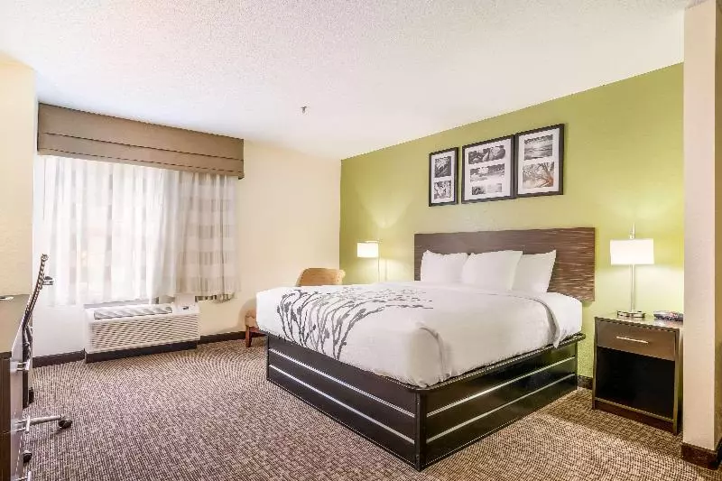 سوئیت با تخت بزرگ, Sleep Inn & Suites Jacksonville Near Camp Lejeune
