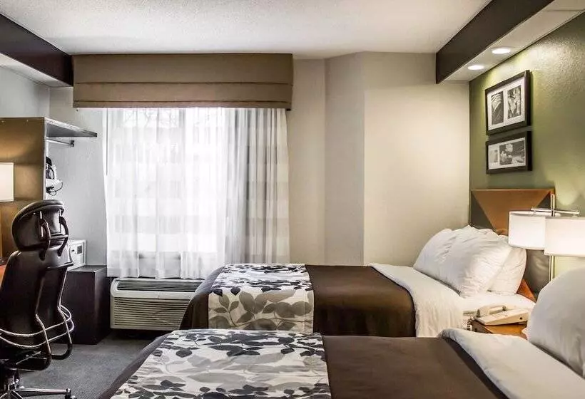 اتاق استاندارد با 2 تخت دوبل, Sleep Inn Beaver Beckley