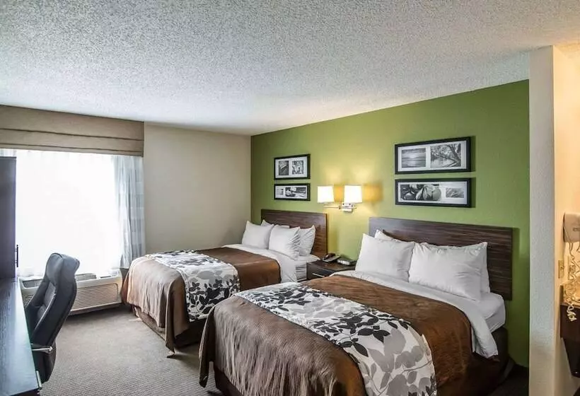 اتاق استاندارد با 2 تخت دوبل, Sleep Inn South Joplin