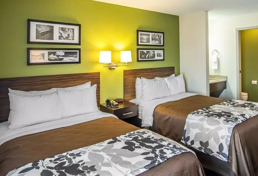 اتاق استاندارد با 2 تخت دوبل, Sleep Inn South Joplin