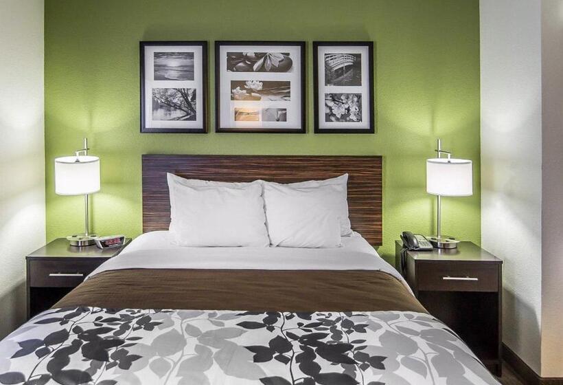 غرفة قياسية لذوى الاحتياجات الخاصة, Sleep Inn South Joplin