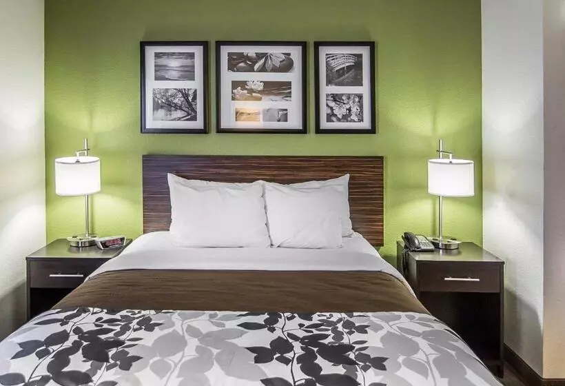 اتاق استاندارد برای معلولان, Sleep Inn South Joplin