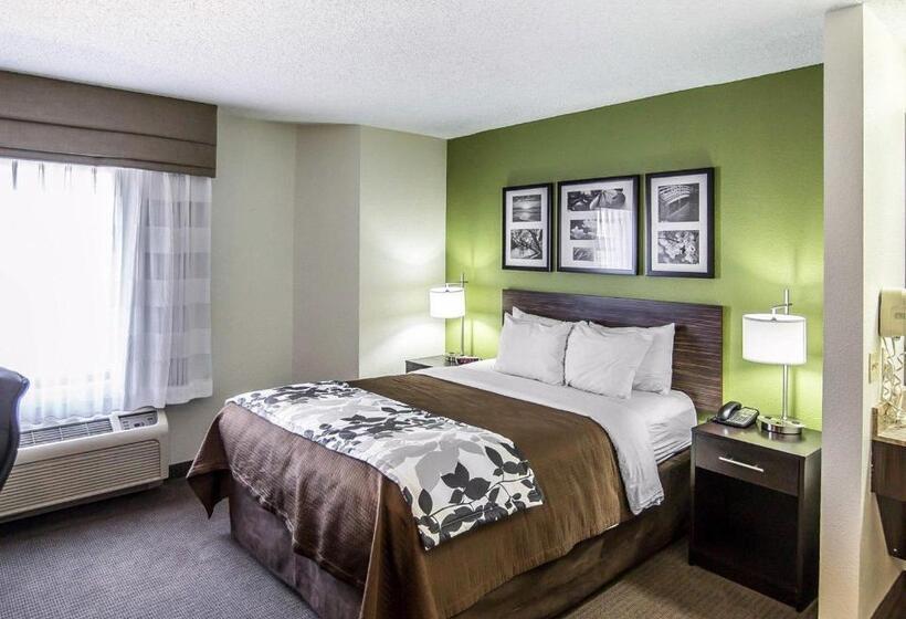 غرفة قياسية لذوى الاحتياجات الخاصة, Sleep Inn South Joplin