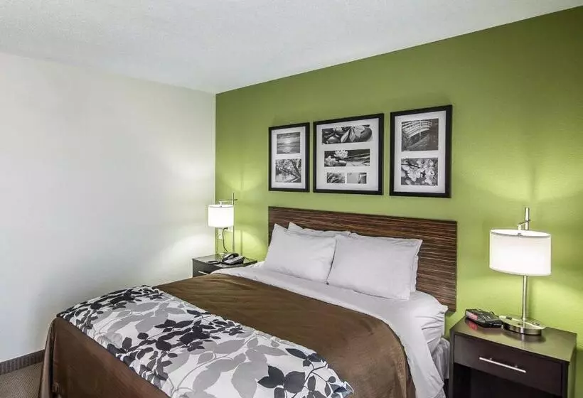 اتاق استاندارد برای معلولان, Sleep Inn South Joplin