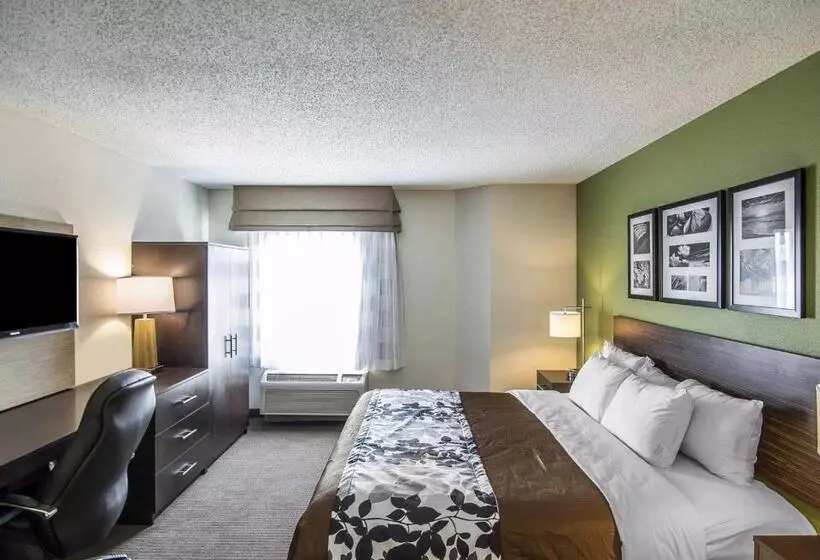 اتاق استاندارد با تخت بزرگ, Sleep Inn South Joplin