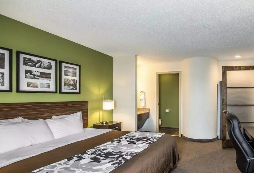 اتاق استاندارد با تخت بزرگ, Sleep Inn South Joplin