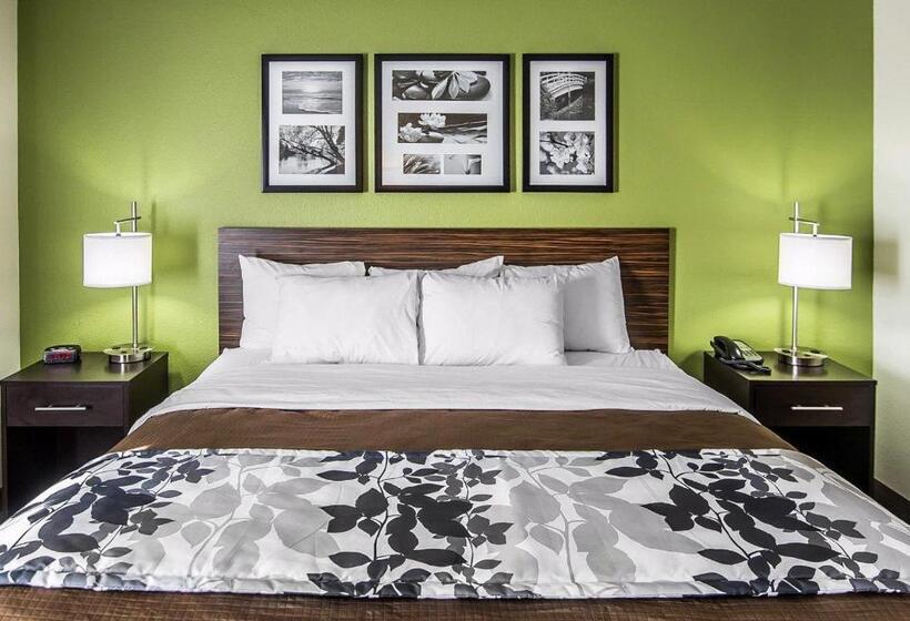غرفة قياسية سرير كينج, Sleep Inn South Joplin