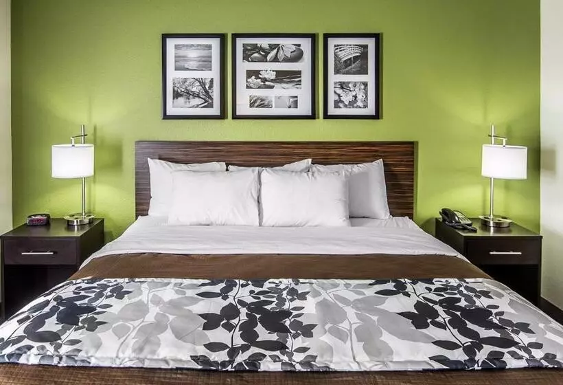 اتاق استاندارد با تخت بزرگ, Sleep Inn South Joplin