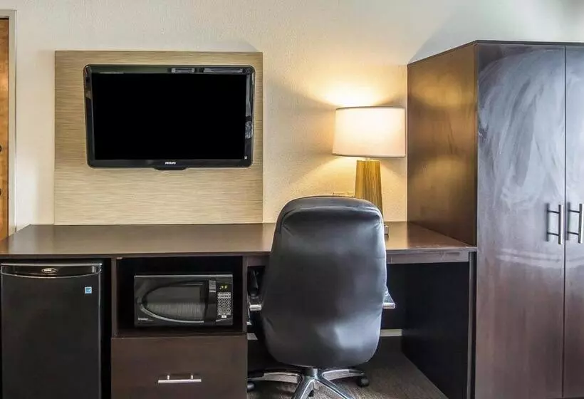 اتاق استاندارد با تخت بزرگ, Sleep Inn South Joplin