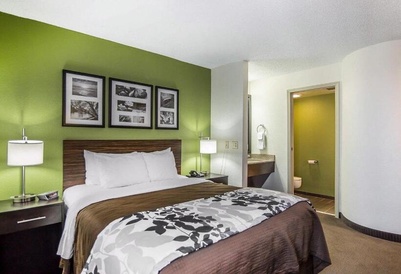غرفة قياسية, Sleep Inn South Joplin