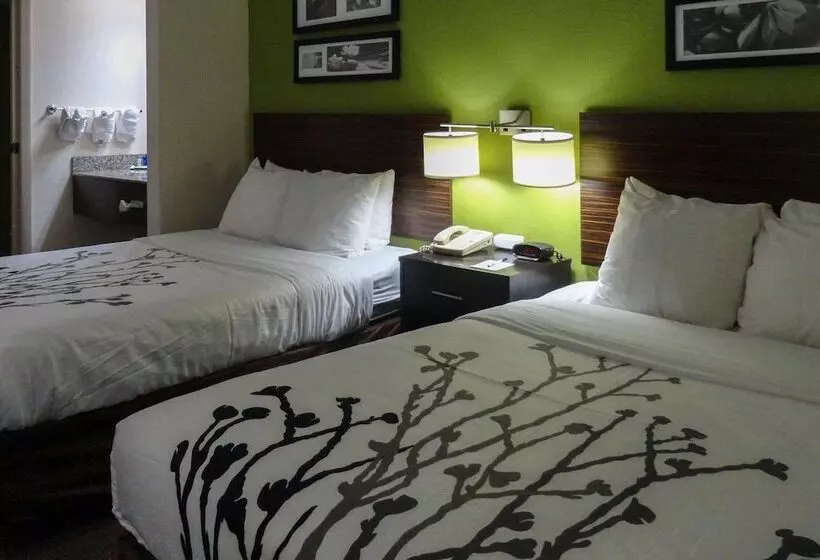اتاق استاندارد با 2 تخت دوبل, Sleep Inn & Suites Columbus Near State University   Fort Moore Area