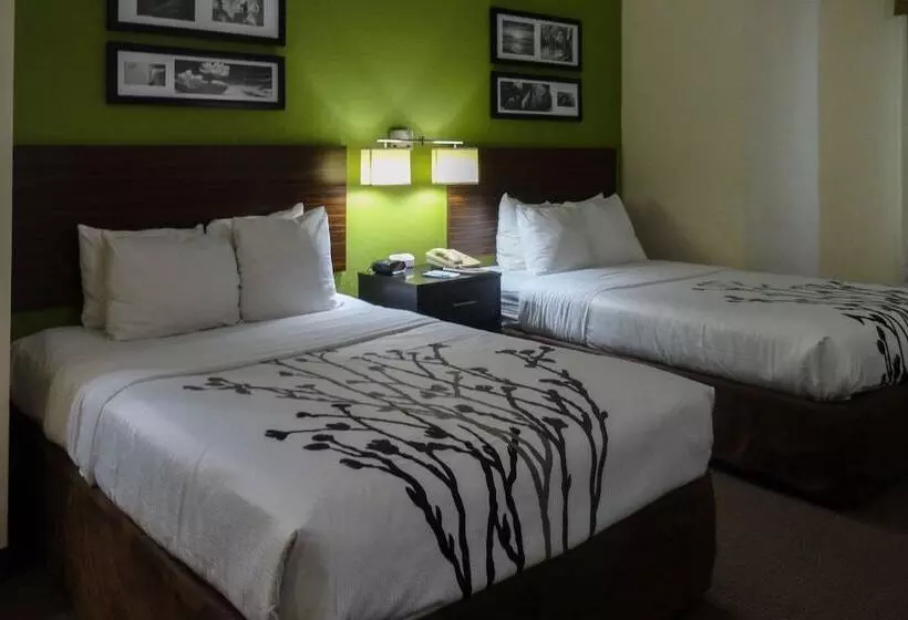 اتاق استاندارد با 2 تخت دوبل, Sleep Inn & Suites Columbus Near State University   Fort Moore Area
