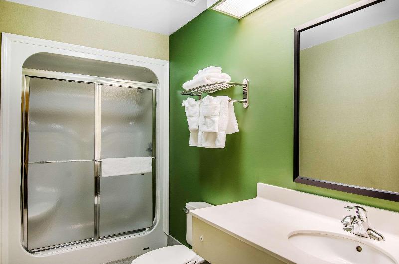 غرفة قياسية سرير كينج, Sleep Inn & Suites Danville Hwy 58