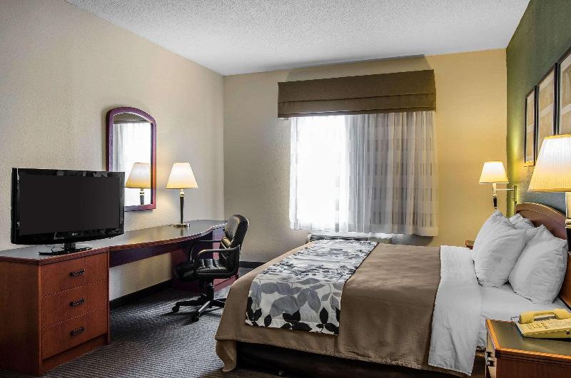 غرفة قياسية سرير كينج, Sleep Inn & Suites Danville Hwy 58