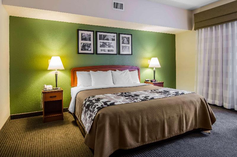 غرفة قياسية سرير كينج, Sleep Inn & Suites Danville Hwy 58