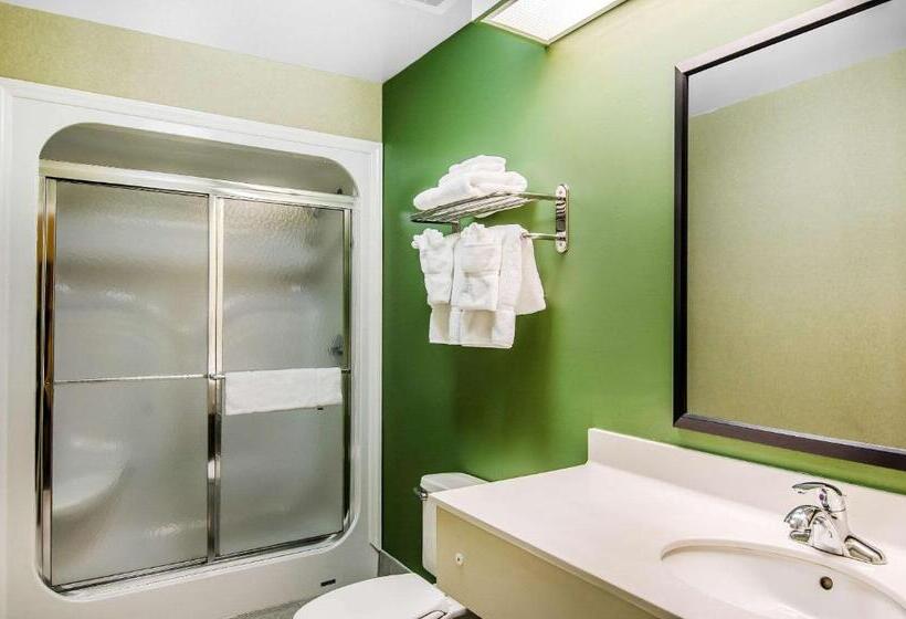 غرفة قياسية سرير كينج, Sleep Inn & Suites Danville Hwy 58