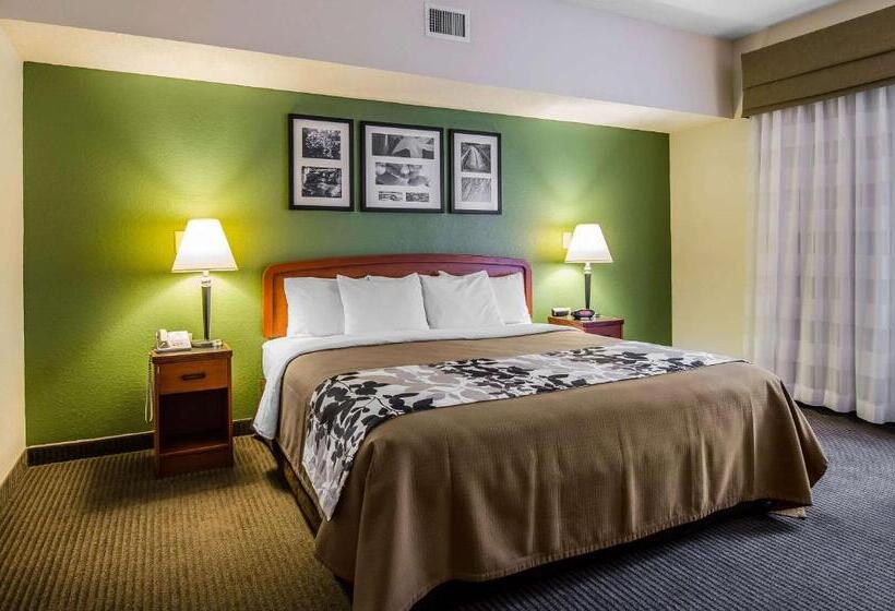 غرفة قياسية سرير كينج, Sleep Inn & Suites Danville Hwy 58