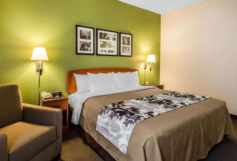 غرفة قياسية سرير كينج, Sleep Inn & Suites Danville Hwy 58