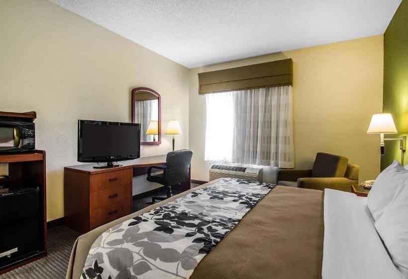 غرفة قياسية سرير كينج, Sleep Inn & Suites Danville Hwy 58