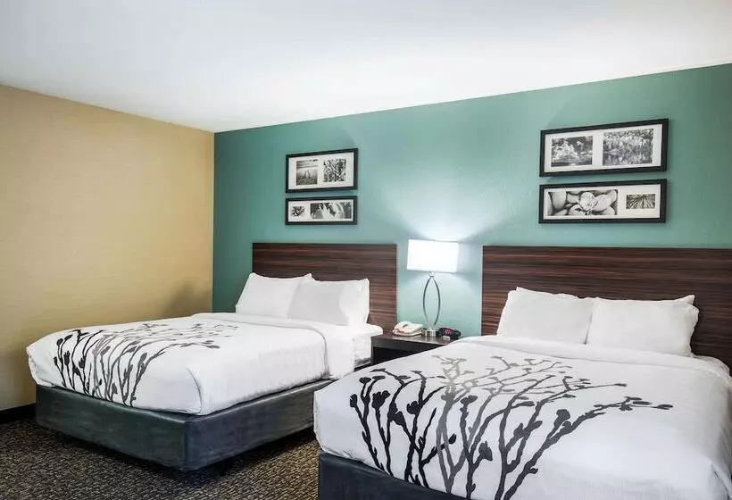 2ダブルベッドのスタンダードルーム, Sleep Inn & Suites