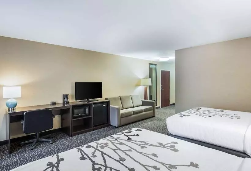 2ダブルベッドのスタンダードルーム, Sleep Inn & Suites