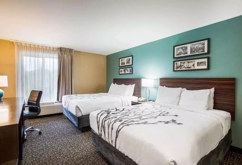 2ダブルベッドのスタンダードルーム, Sleep Inn & Suites