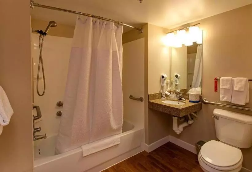 سوییت, Towneplace Suites Colorado Springs