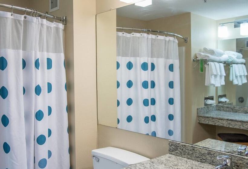 سوییت, Towneplace Suites By Marriott Lafayette