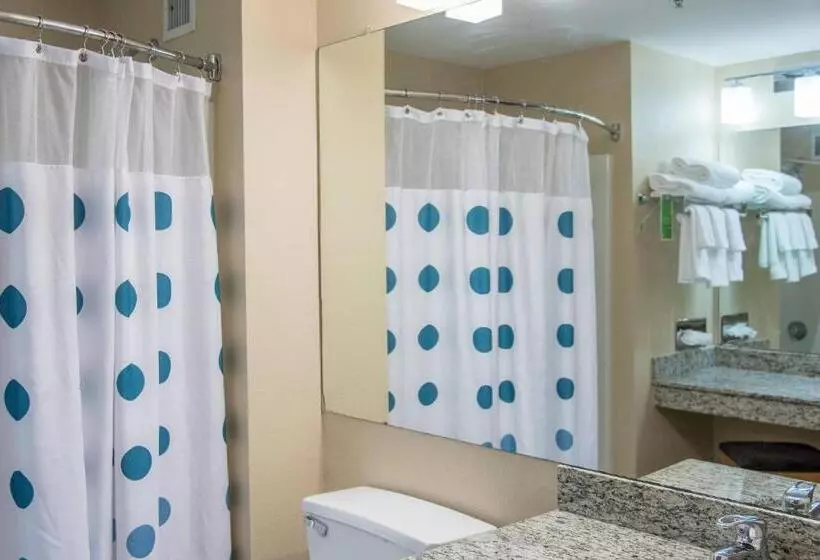 استودیوی استاندارد, Towneplace Suites By Marriott Lafayette