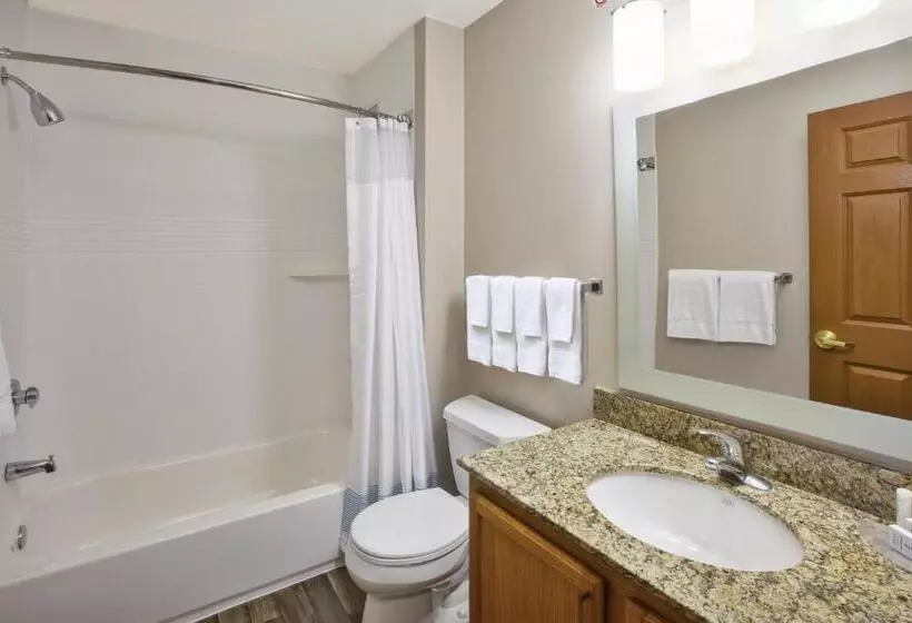 スタンダードルーム, Towneplace Suites Minneapolisst. Paul Airport/eagan