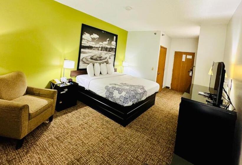 חדר סטנדרט עם מיטת קינג, Forest City Inn