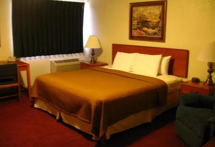 اتاق استاندارد با تخت بزرگ, I M Hotel By Timberlake