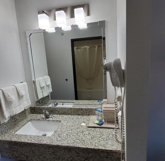 디럭스 룸 킹사이즈 침대, Super 7 Inn Tecumseh