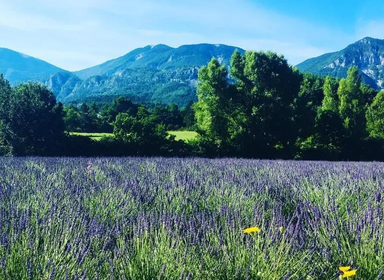マウンテンビューファミリールーム, Le Moulin De La Viorne, Gîte Modulable Avec Piscine En Haute Provence
