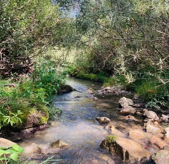 ビュー有りのスタンダードワンルーム, Le Moulin De La Viorne, Gîte Modulable Avec Piscine En Haute Provence